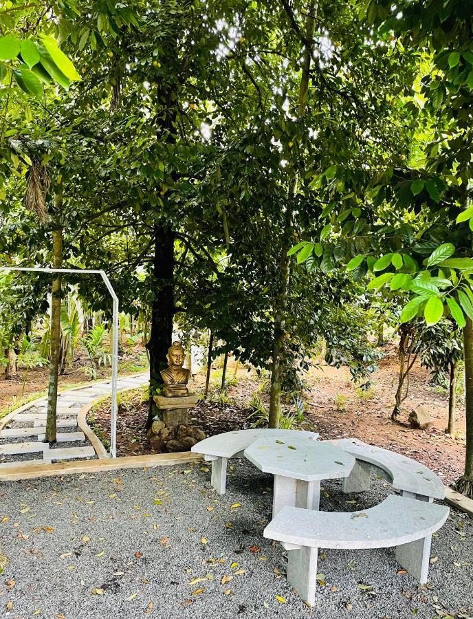 Kayyalas Courtyard Thrissur Экстерьер фото