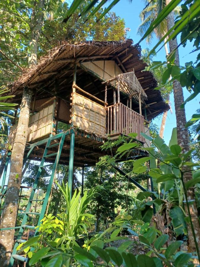 Kayyalas Courtyard Thrissur Экстерьер фото